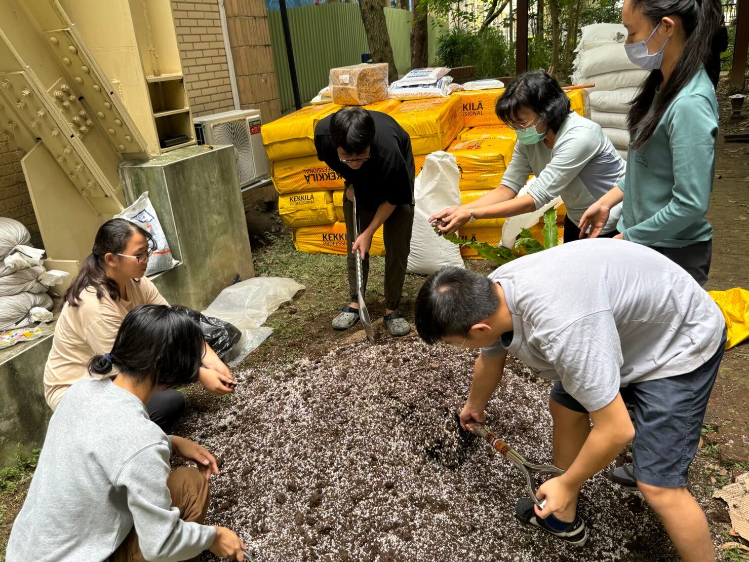 北科大設全國首座蕨類實驗園區 60種蕨類是台灣原生種-6